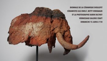 31310923-diaporama