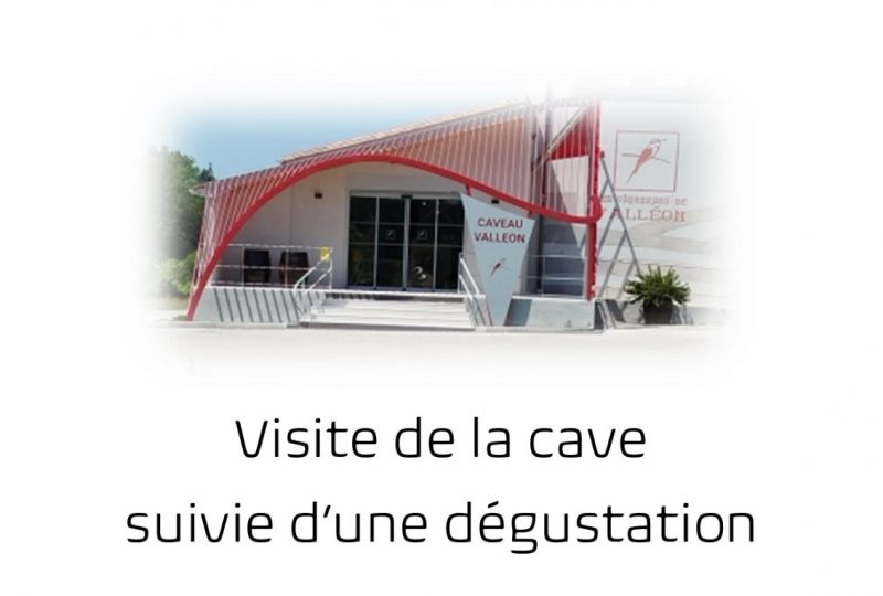 Visite et Dégustation à Saint-Pantaléon-les-Vignes - 0