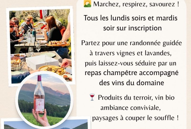 Les randos pique-nique du Chardon Bleu à Roche-Saint-Secret-Béconne - 0