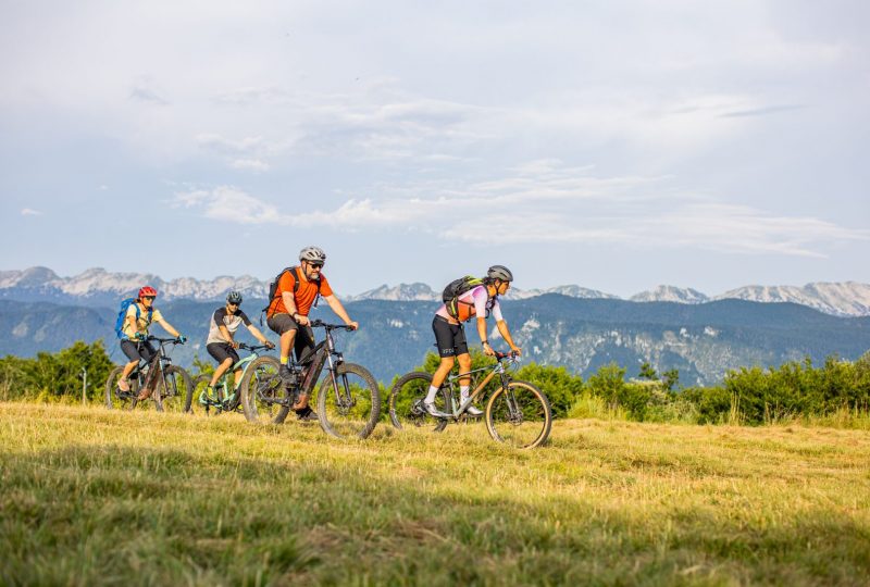 Le plateau de Font d’Urle en VTT à Font d'Urle - 0