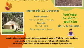 34751883-diaporama
