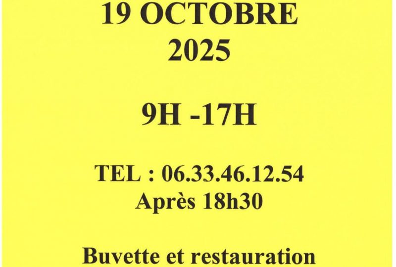 Vide Grenier à Rousset-les-Vignes - 0
