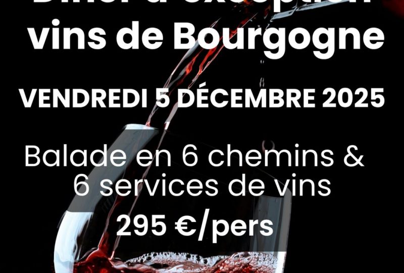 Dîner gastronomique accord mets & vins de Bourgogne à Grignan - 0