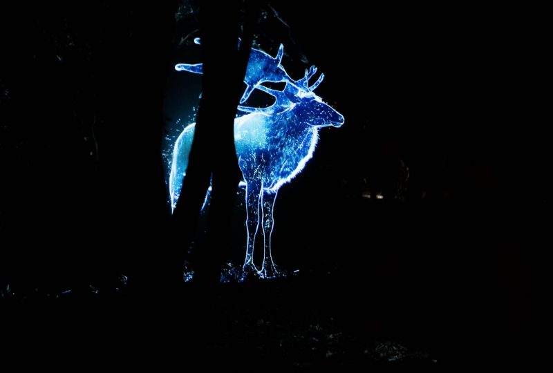 Programmation des vacances de Noël à Vallon-Pont-d'Arc - 9