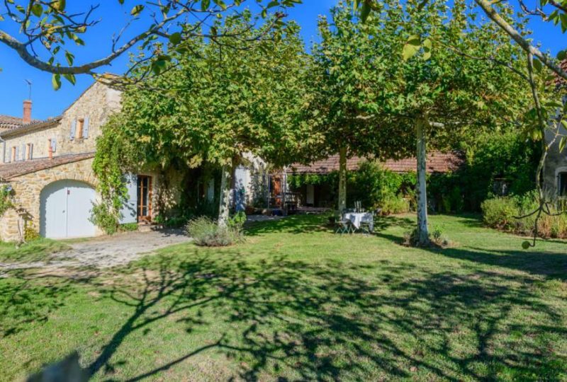 Les Platanes à La Bégude-de-Mazenc - 1