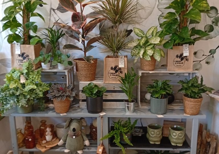 1 Brin 2 Folie à Dieulefit - 1