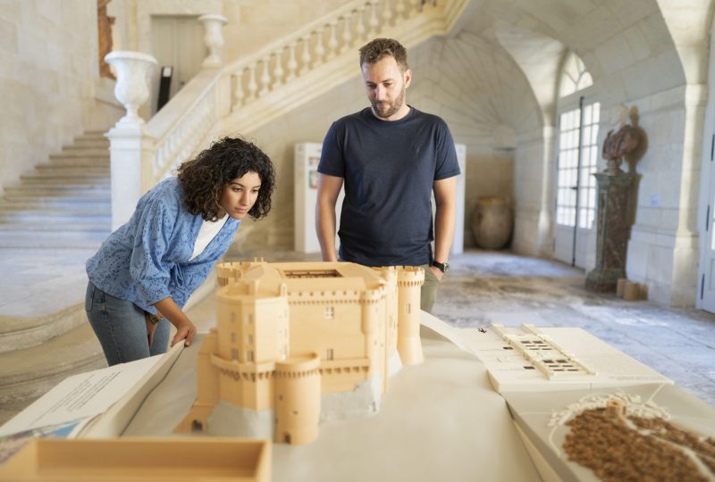 Château de Suze-la-Rousse à Suze-la-Rousse - 3