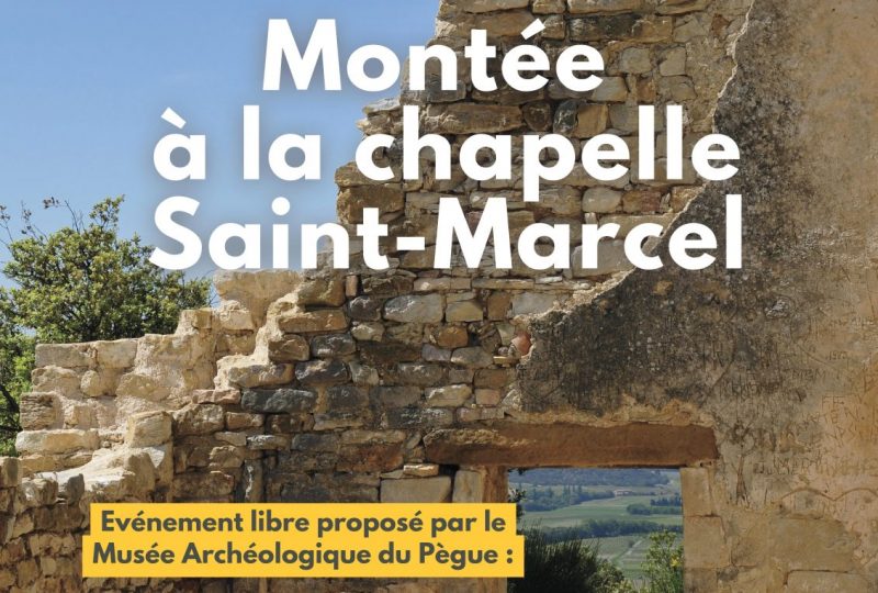 Traditionnelle montée à Saint Marcel à Le Pègue - 0