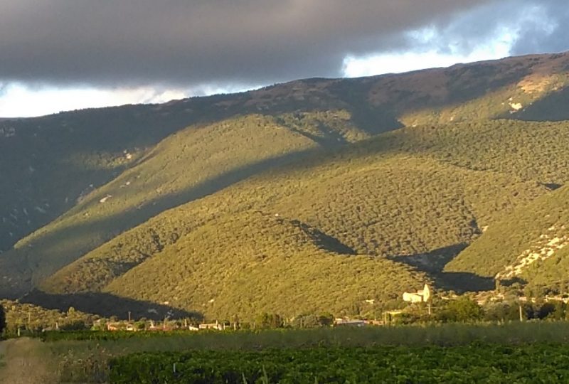 Traditionnelle montée à Saint Marcel à Le Pègue - 2