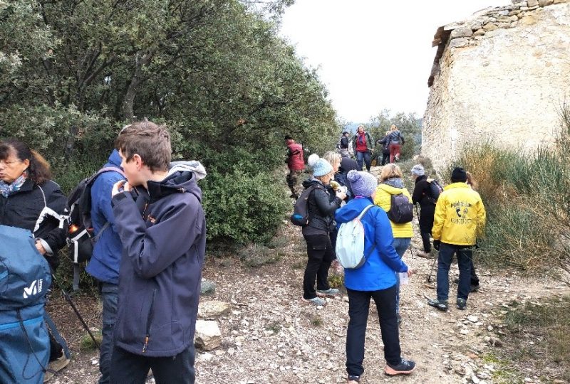 Traditionnelle montée à Saint Marcel à Le Pègue - 3