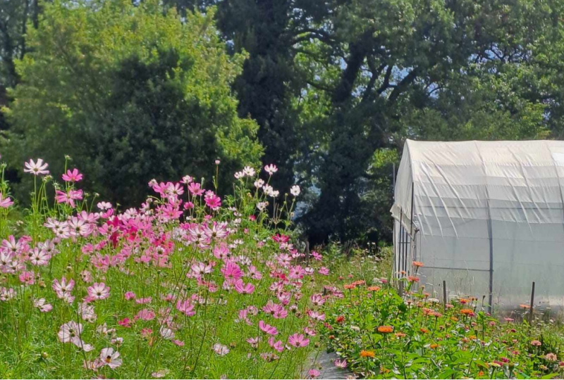 Maison Raspail – Fleurs de la Drôme à Bourdeaux - 11