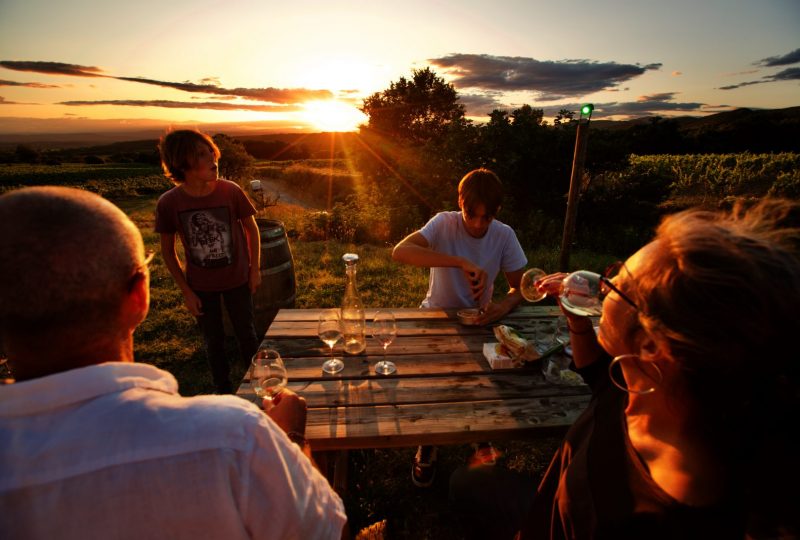Entre Vignes et Lumières à Rousset-les-Vignes - 2