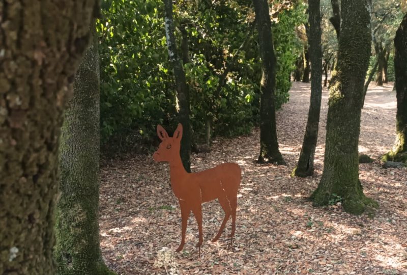 A la recherche des animaux de la garenne à Suze-la-Rousse - 0
