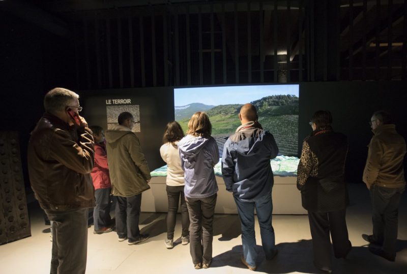 Muséo’bulles – Wijnkelder van Die Jaillance à Die - 1
