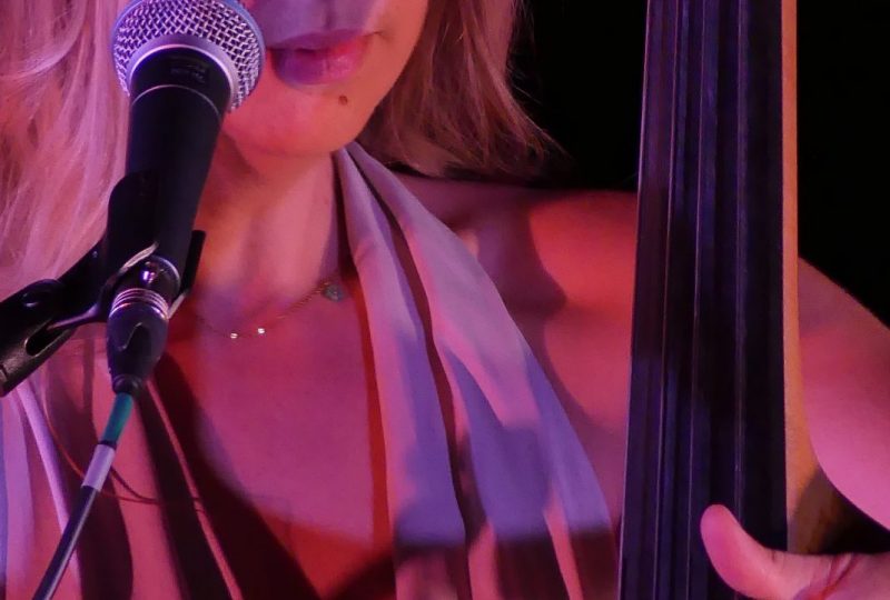 Festival Blue Motte Jazz à La Motte-Chalancon - 4