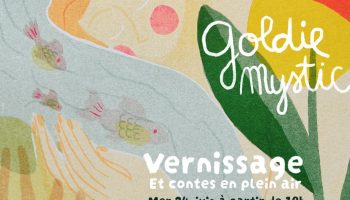 41456890-diaporama