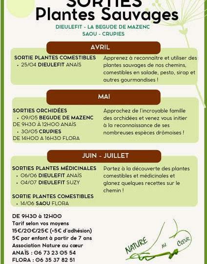 Sortie Plantes Sauvages – Plantes comestibles à Saoû - 0