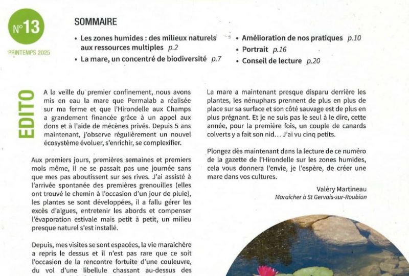 Recyclerie de plantes : la pépinière de l’Hirondelle aux champs à La Bégude-de-Mazenc - 7