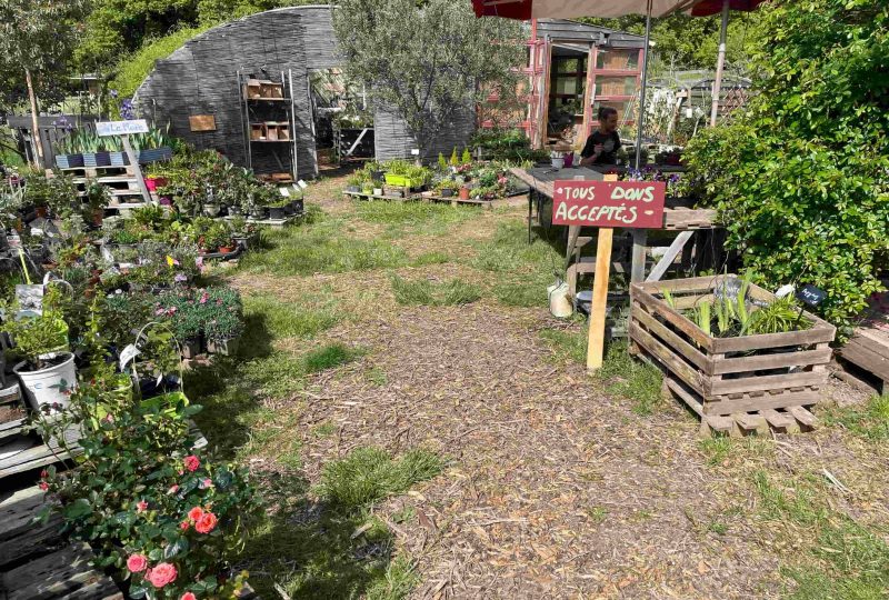Recyclerie de plantes : la pépinière de l’Hirondelle aux champs à La Bégude-de-Mazenc - 2