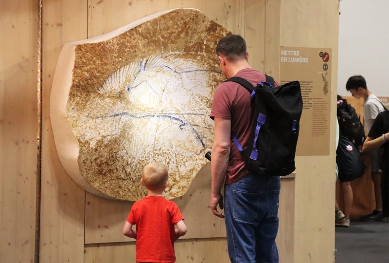 Animations de l’été à la Grotte Chauvet 2 à Vallon-Pont-d'Arc - 9