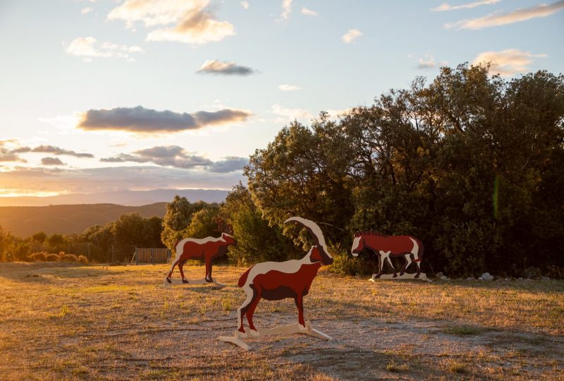 Les Soirées de Chauvet à Vallon-Pont-d'Arc - 5