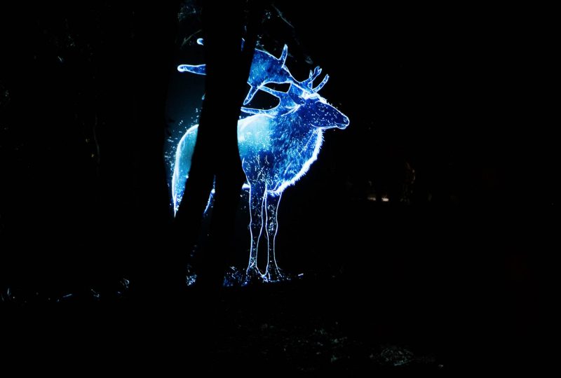 Les Soirées de Chauvet à Vallon-Pont-d'Arc - 7
