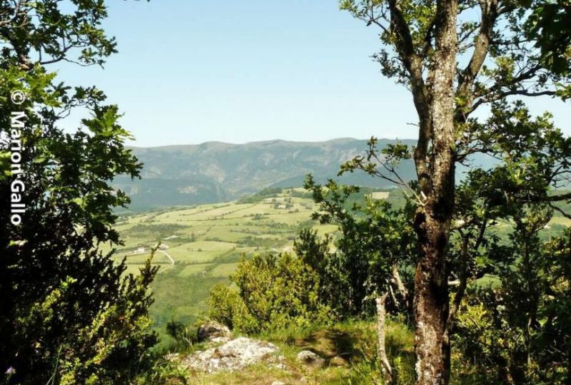 La montagne des Ventes à Dieulefit - 1