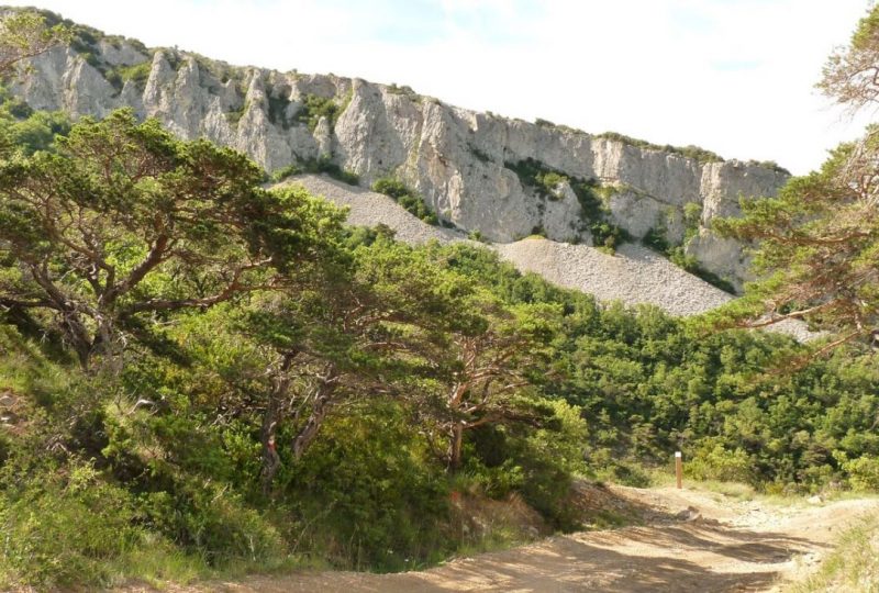 Le rocher des Aures à Roche-Saint-Secret-Béconne - 2