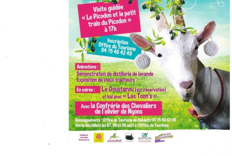 Fête du Picodon à Dieulefit :  marché aux picodons et produits régionaux à Dieulefit - 0