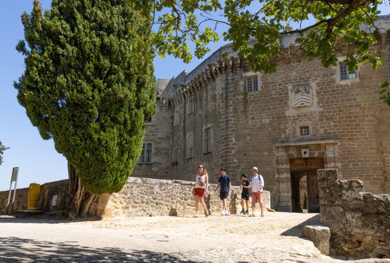 Open dagen in het kasteel à Suze-la-Rousse - 0
