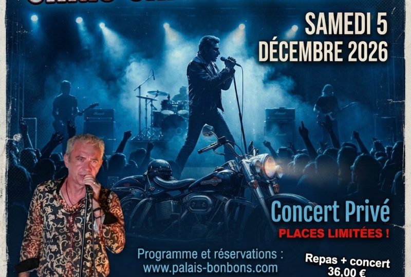 Chris chante Johnny à Montélimar - 0