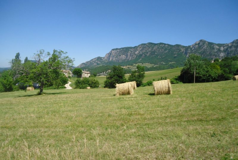 Serre Antoine à Mornans - 1