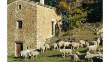 Ferme Clos de l’Orme