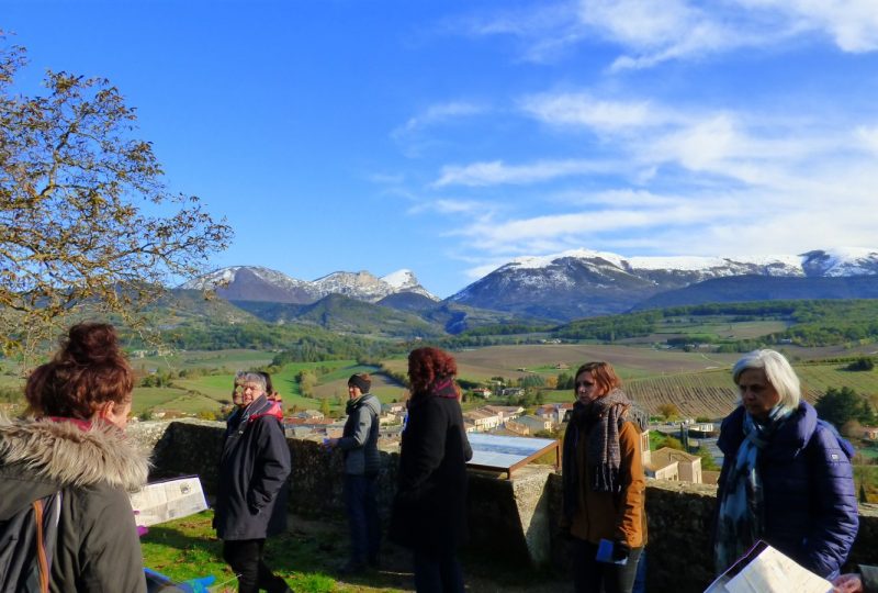 Visite guidée de la Viale de Bourdeaux à Bourdeaux - 5