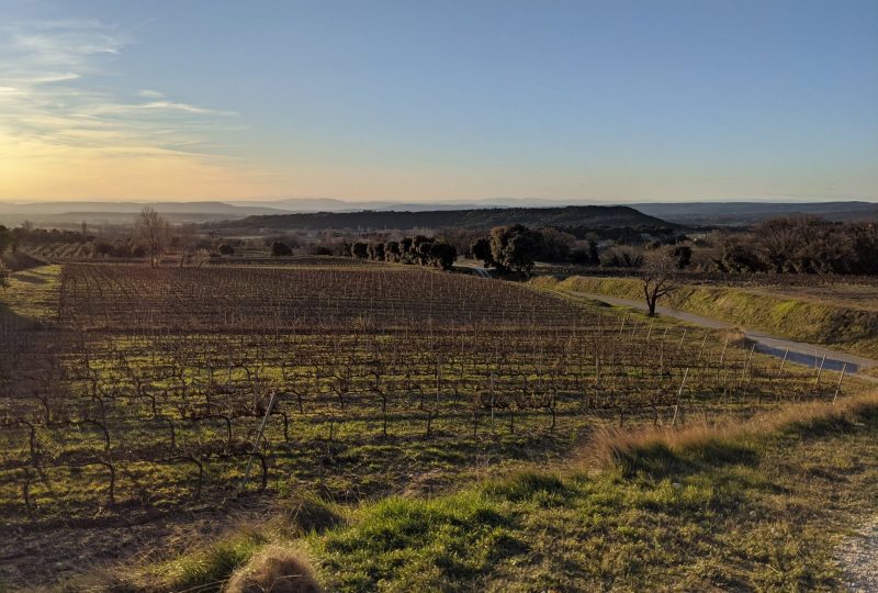 Domaine de La Bouvaude à Rousset-les-Vignes - 0