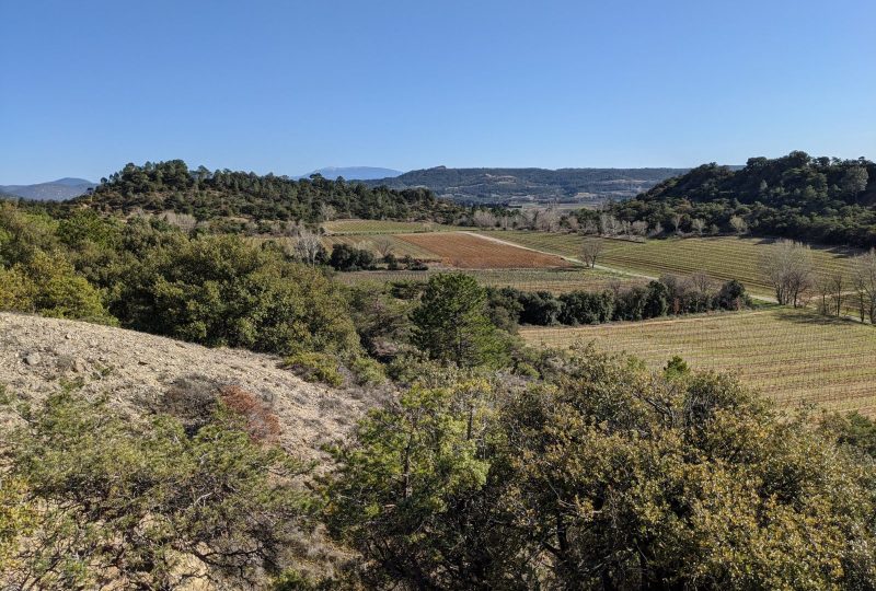 Domaine de La Bouvaude à Rousset-les-Vignes - 1