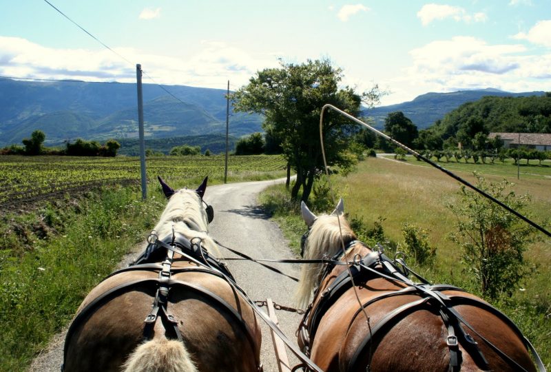 Circuit en roulotte en famille dans le pays de Dieulefit-Bourdeaux et forët de Saouu à Le Poët-Célard - 8