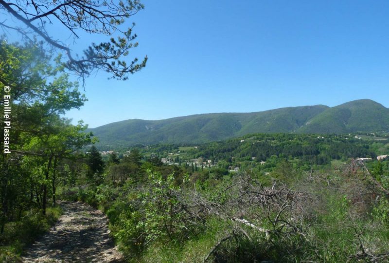 La montagne de Dieu-Grâce à Dieulefit - 2