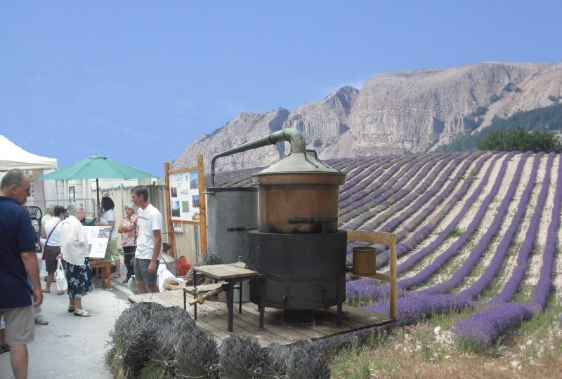 Le vallon des Courbis à Montjoux - 0