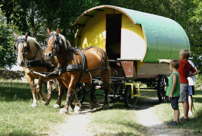 Zigeunervakantie met woonwagen en paardenspan à Le Poët-Célard - 1