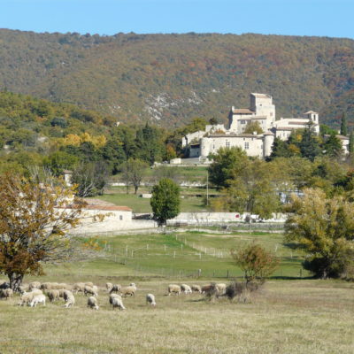 Village médiéval- perché -Le Poët-laval - prairies - moutons