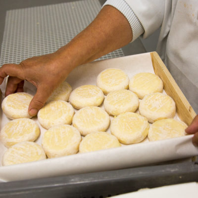 Picodon - chevre -fromage -Dieulefit - affinage