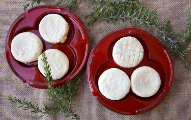 Picodon - chevre -fromage -Dieulefit - affinage