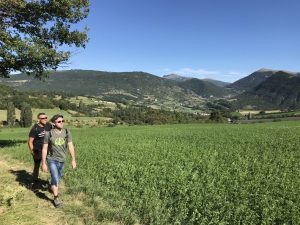 sentiers de randonnées- marches - FFrandonnées - Bourdeaux