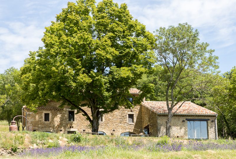 L’Essentiel de Lavande à La Bégude-de-Mazenc - 2