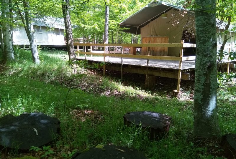 Camping L’Ermitage du Grand Bois à Le Poët-Célard - 1