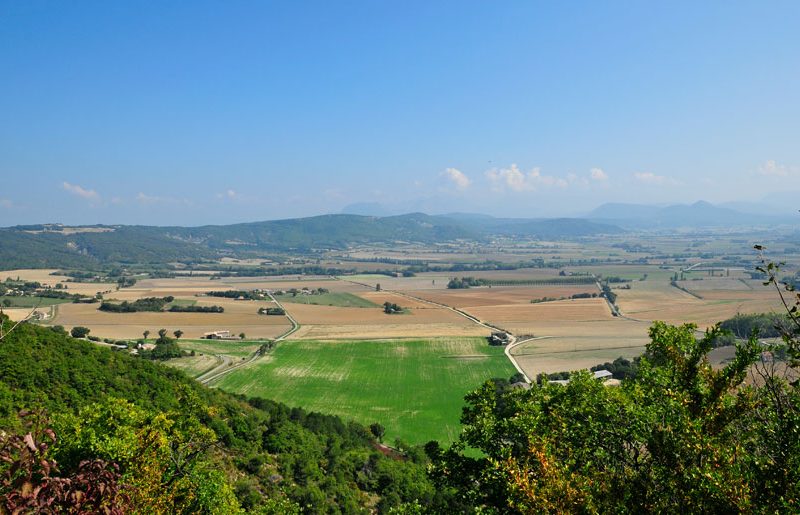 Forêt de Marsanne à Marsanne - 1