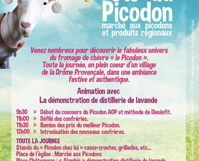 Fête du Picodon à Dieulefit :  marché aux picodons et produits régionaux à Dieulefit - 1