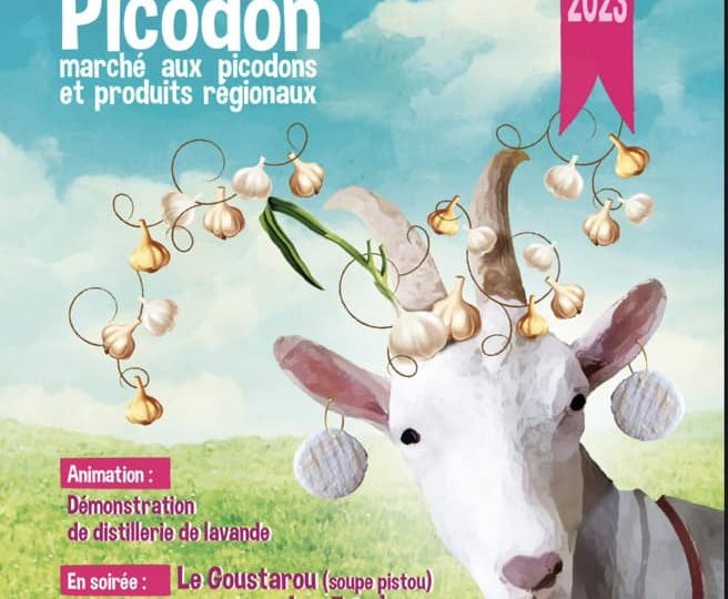 Fête du Picodon à Dieulefit :  marché aux picodons et produits régionaux à Dieulefit - 0