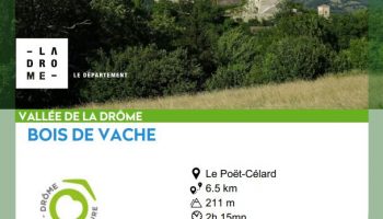 BP Bois de Vache